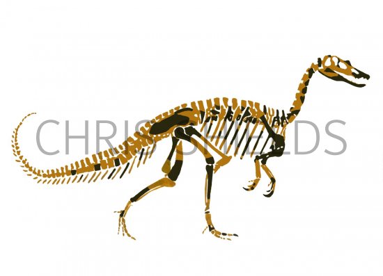 Illustration of Baryonyx walkeri (#1750)