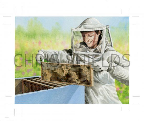 Illustration of Bee Keeper opening hive (#3894)