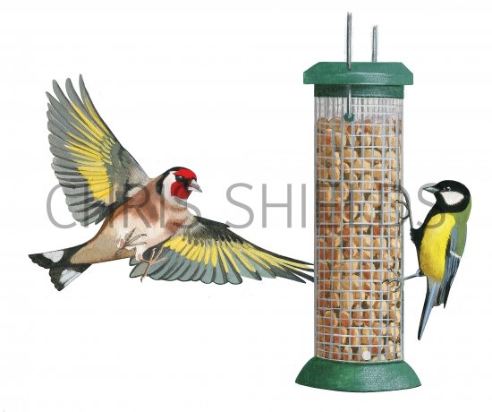 Illustration of Bird feeder with goldfinch & great tit (#3789)