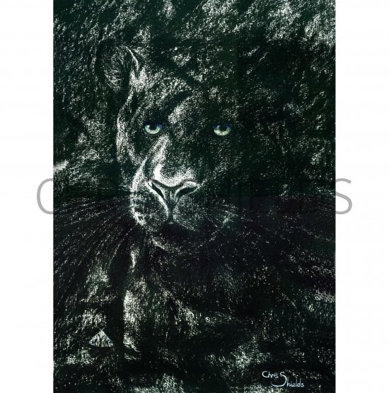 Illustration of Leopard (Panthera pardus) (#2103)
