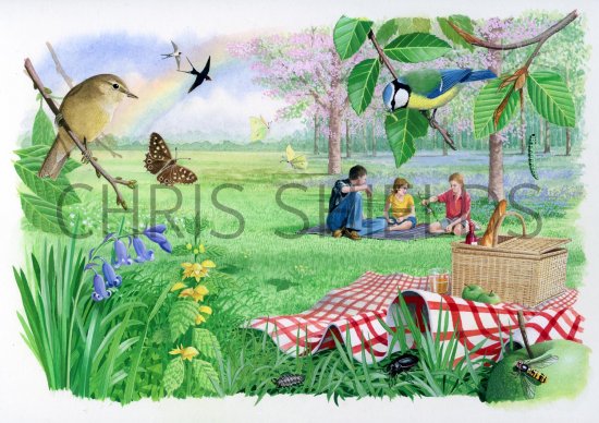 Illustration of Picnic in a Bluebell Wood (#3176)