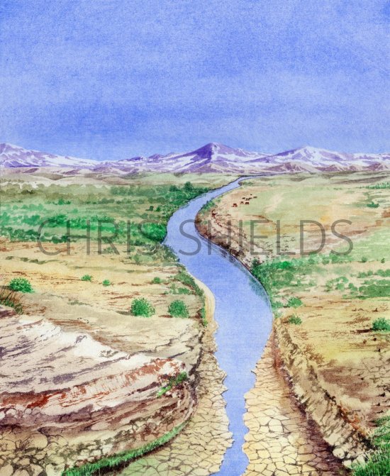 Illustration of Desert Landscape (USA) (#2310)
