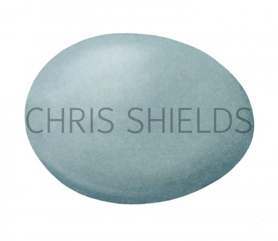 Illustration of Grey Heron egg (Ardea cinera) (#2445)