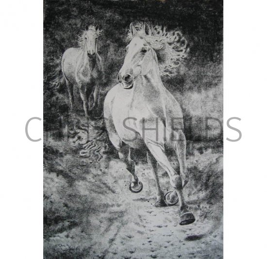 Illustration of Wild Horses (#1321)