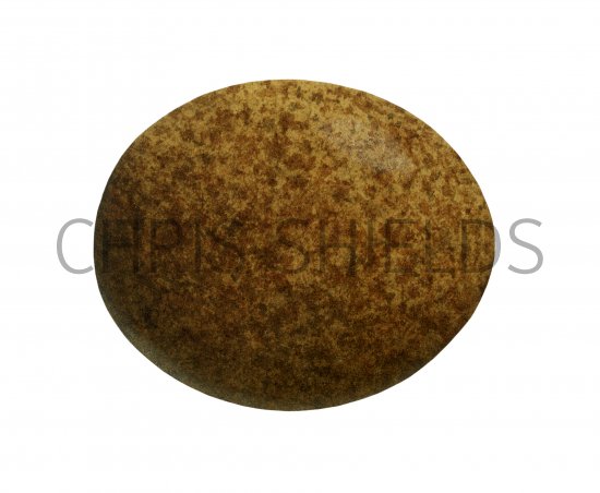 Illustration of Kestrel egg (Faco tinnunculus (#1045)