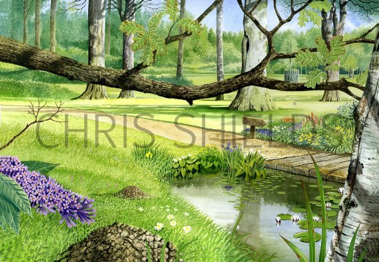 Illustration of Summer Park Scene (#2866)