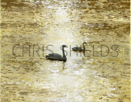 Illustration of Whooper Swans on Golden Water (#4023)
