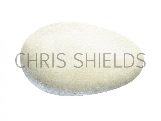Illustration of Swift egg (Apus apus) (#2437)