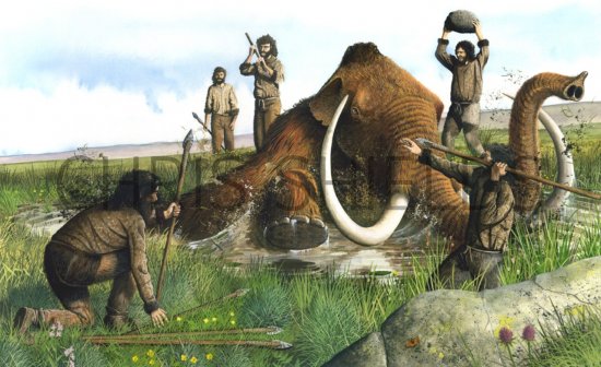 Illustration of Wooly Mammoth Hunters (Mammuthus primigenius) (#0452)