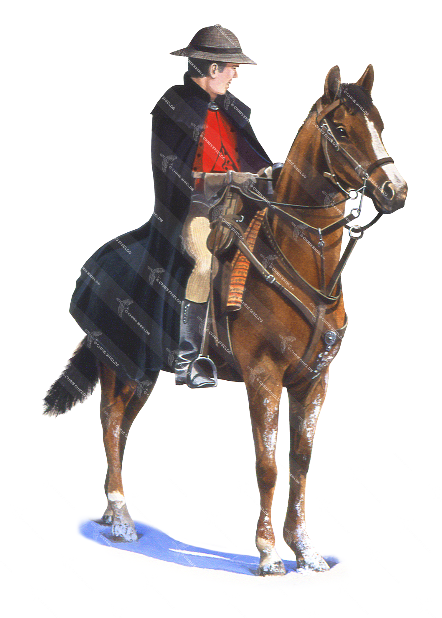 Illustration of Horse & Rider (#3433)