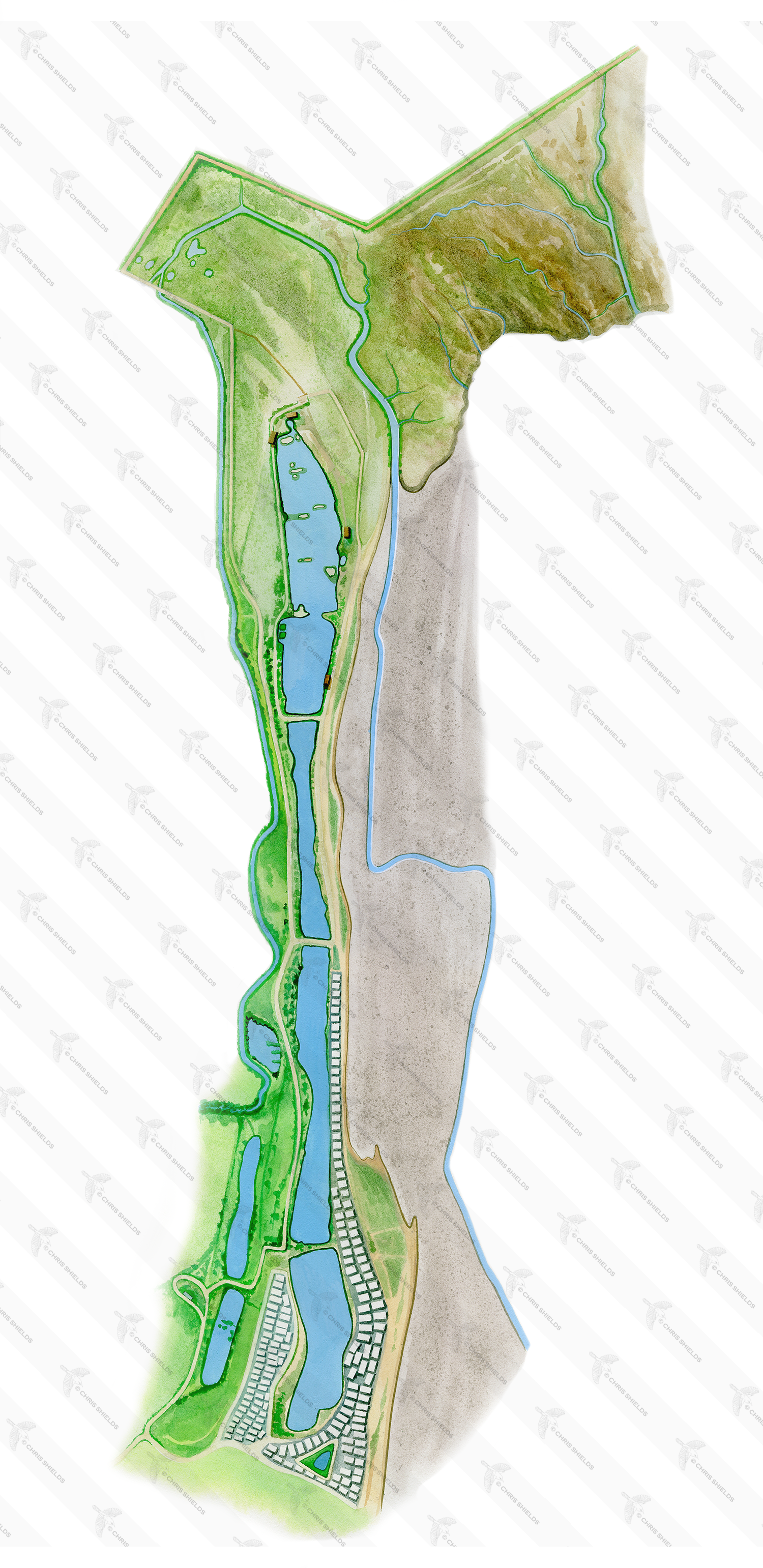 Illustration of RSPB Snettisham Reserve Map (#2327)