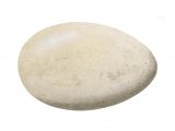 Illustration of Great Crested Grebe egg (Podiceps crestatus) (#2444)