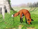 Illustration of Fox (red) Vulpes vulpes (#1620)