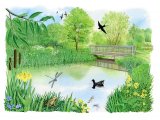 Illustration of Wildlife Garden (#3276)