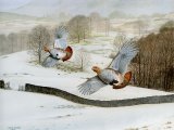 Illustration of Grey Partridges over Lakeland Fell (#3917)