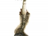 Illustration of Hebeloma radicosum (Rooting Poisonpie) (#3490)