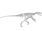 Illustration of Hererasaurus (#0205)