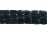 Illustration of Horsetail Calamites (#0093)