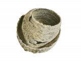 Illustration of Common Wasp Nest (Vespula vugaris) (#3693)