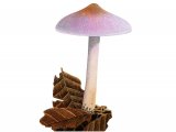 Illustration of Inocybe lilacina (Lilac Fribrecap) (#3542)