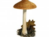 Illustration of Inocybe margaritispora (#3563)