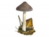 Illustration of Inocybe obscurobadia (#3534)