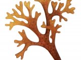 Illustration of Irish moss (Chondrus crispus) (#4240)