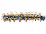 Illustration of Large Tortoiseshell Caterpillar (Nymphalis polychloros) (#4171)
