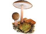 Illustration of Lepiota perplexa (#3428)
