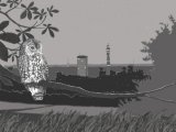 Illustration of Owl (Tawny) Strix aluco (#0455)