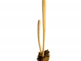Illustration of Macrotyphula fistulosa var. fistulosa (Pipe Club Fungi) (#1949)