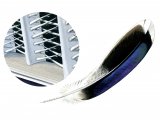 Illustration of Mallard feathers (Anas platyrhynchos) (#1326)