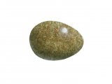 Illustration of Meadow Pipit egg (Anthus pratensis) (#1046)