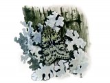 Illustration of Merveille du Jour (Dichonia aprilina) (#2799)