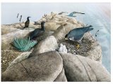 Illustration of Morro Rock California (#3788)