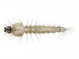 Illustration of Mosquito larvae (Anopheles sp) (#4364)