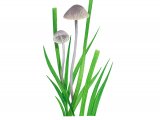 Illustration of Mycena aetites (Drab Bonnet) (#3860)