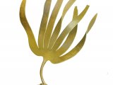 Illustration of Oarweed (Laminaria digitata) (#4263)