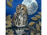 Illustration of Tawn Owl (Strix aluco) (#0530)