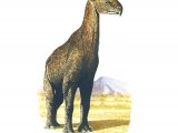 Illustration of Indricotherium (#0795)