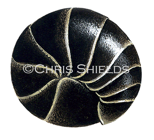 Illustration of Woodlouse (Pill) Armadillidium vulgare (#0354)