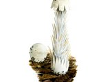 Illustration of Queletia mirabilis (#1836)