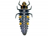 Illustration of Seven-spot Ladybird Larvae (Coccinella 7-punctata) (#1785)