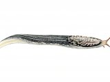 Illustration of Slug (Great Grey or Leopard) Limix maximus (#0617)