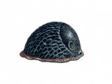 Illustration of Slug (Large Black) Arion ater) (#0600)
