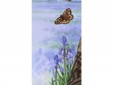 Illustration of Speckled Wood Butterfly (Pararge aegeria) & Bluebell (Hyacinthoides non-scripta) (#1080)