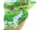 Illustration of Madebrook display panel (#3208)