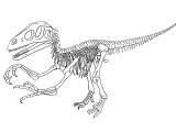 Illustration of Utahraptor (#0210)