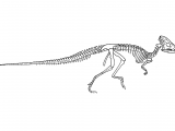 Illustration of Wannanosaurus (#0211)