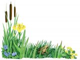 Illustration of Waterside Plants (#4083)